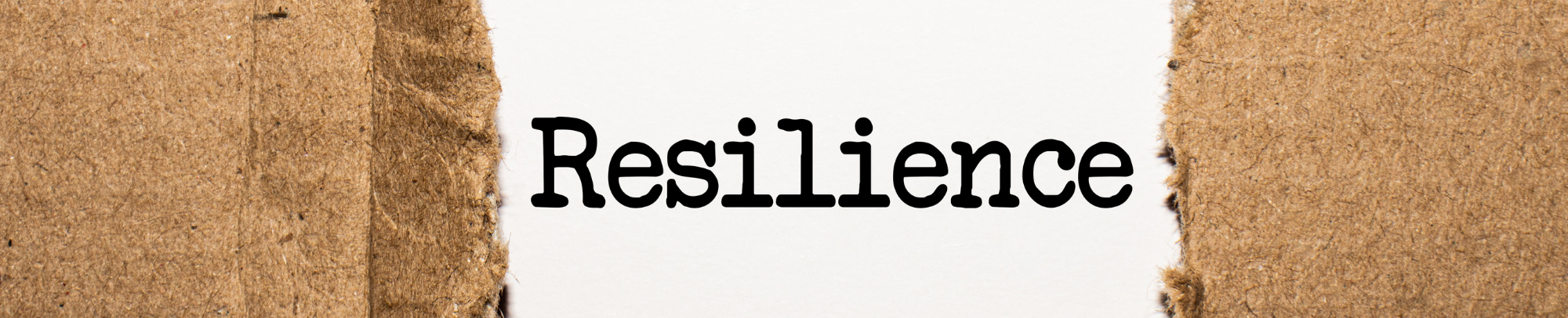 Resilienz